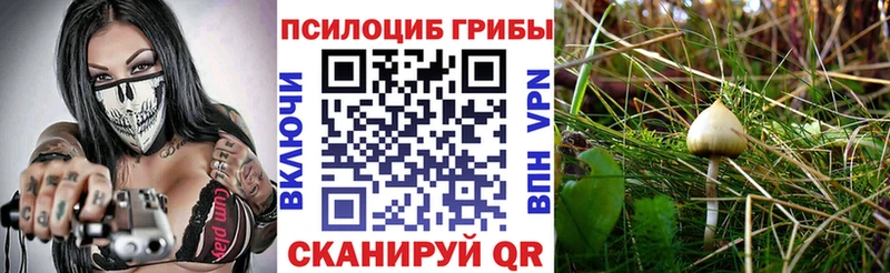 Псилоцибиновые грибы мухоморы  Радужный 